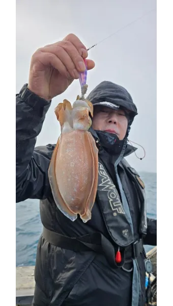 갑오징어 손질법 제철 맛있게 먹는 방법_20