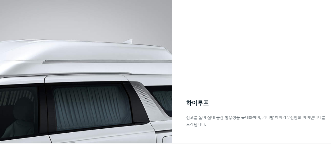 카니발 하이리무진 하이루프
