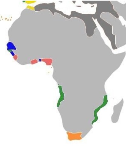 1800년대 초반 아프리카의 식민지화 지도