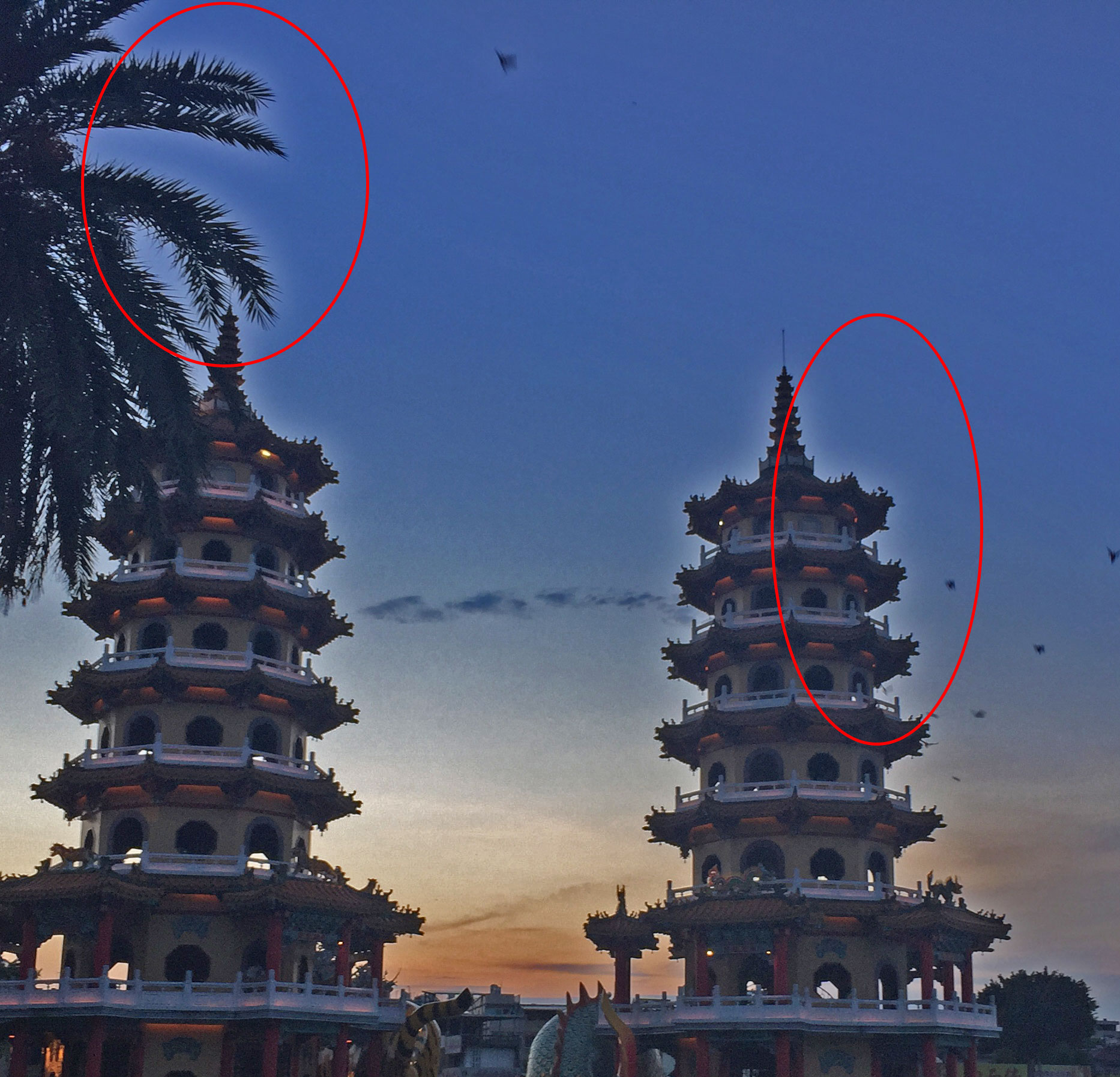 과한 역광 보정 시