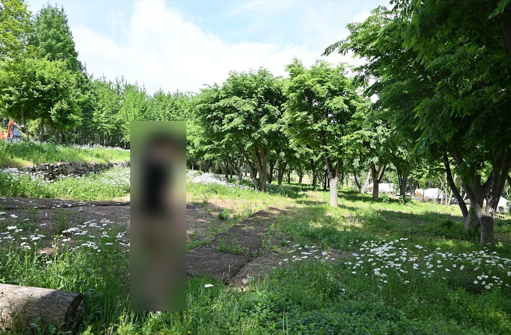 예산에 있는 대형 캠핑장 스노우라인 캠핑빌리지 2박 3일 후기 사진 19