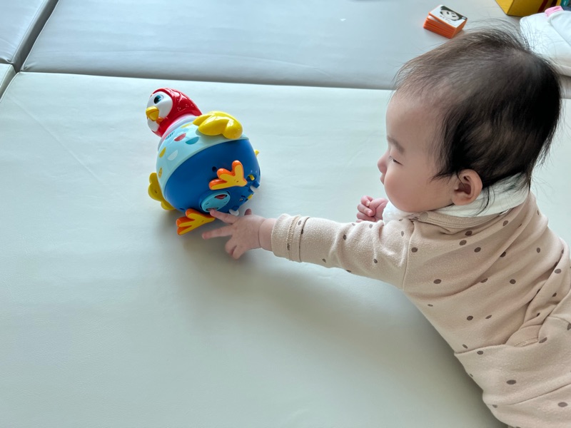  엎드려 노는 아기 장난감 추천2, 블루래빗 꼬꼬맘