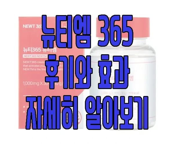 뉴티365 뉴티엠에 관한 글 보러 가기 링크 사진