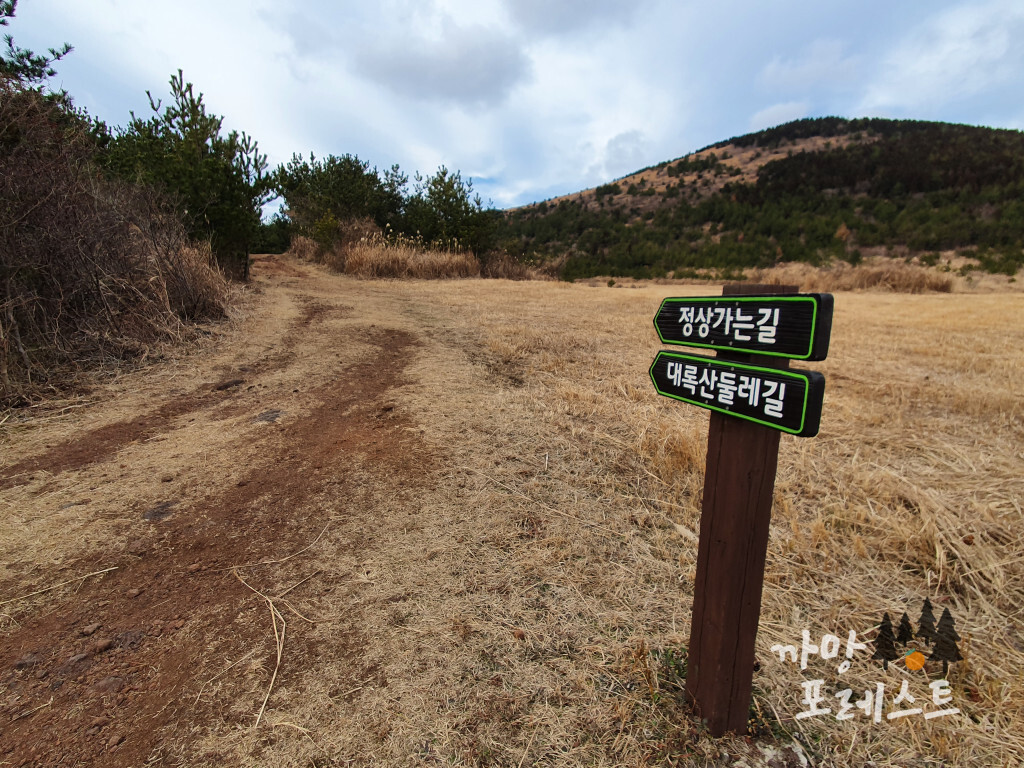 대록산 초입