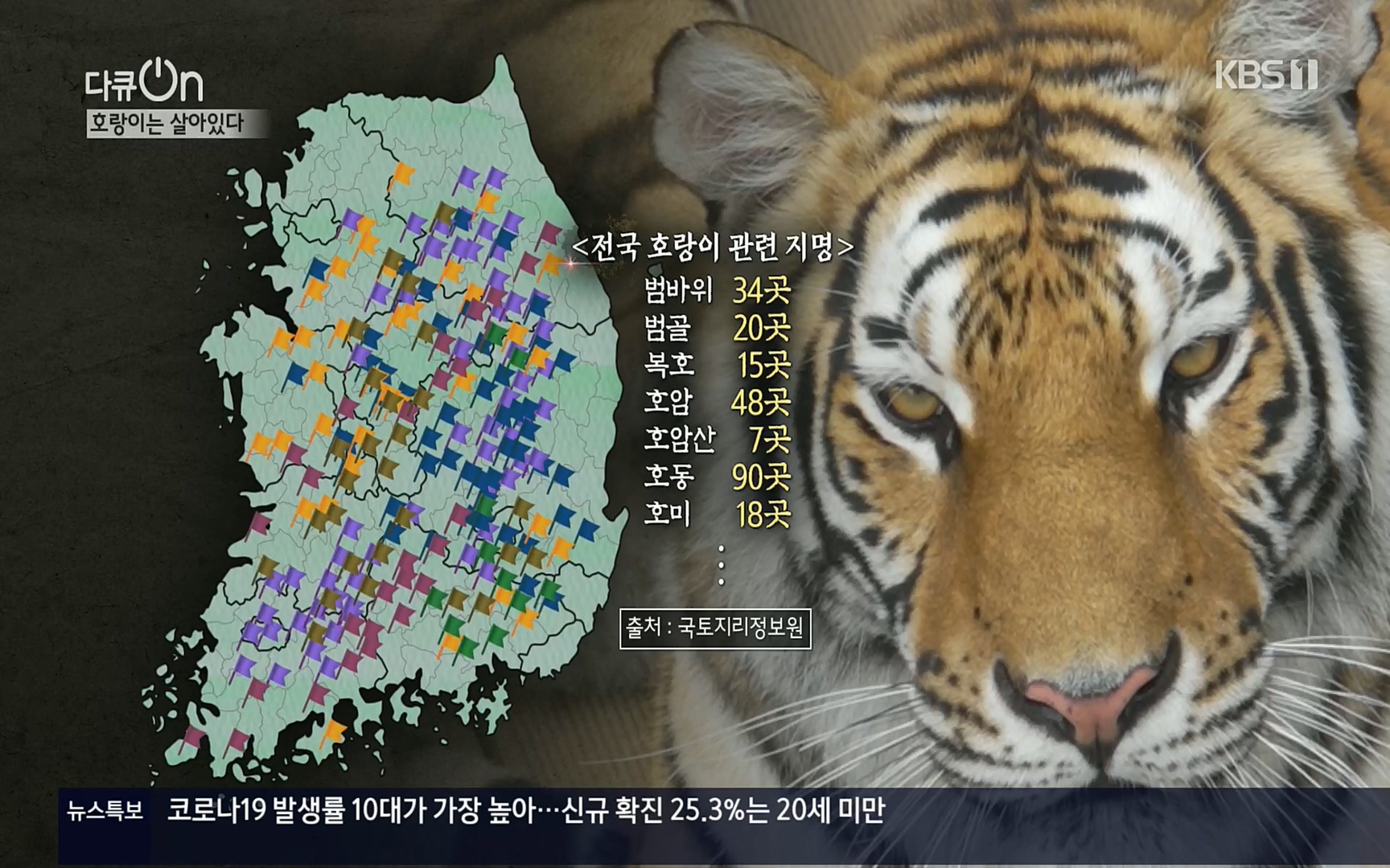 다큐 On.E150.220729p.H264-F1RST.mp4_20220730_164053.851.jpg