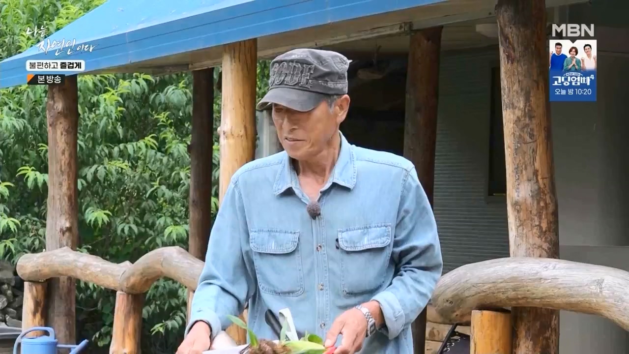 나는 자연인이다.E566.230810p.WANNA.mp4_20230810_202601.087.jpg