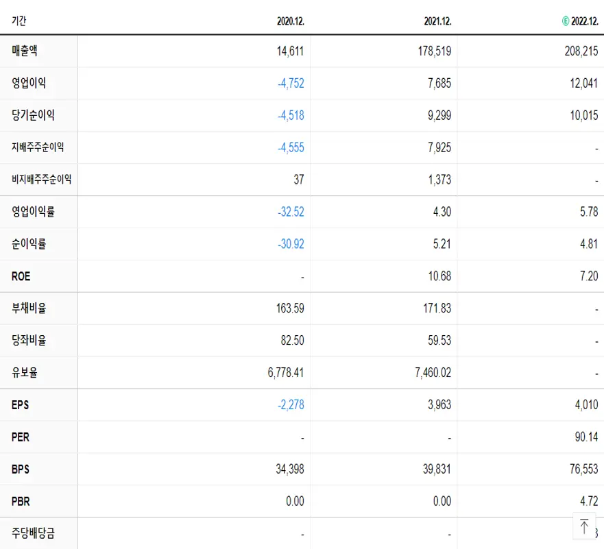 LG에너지솔루션 재무제표