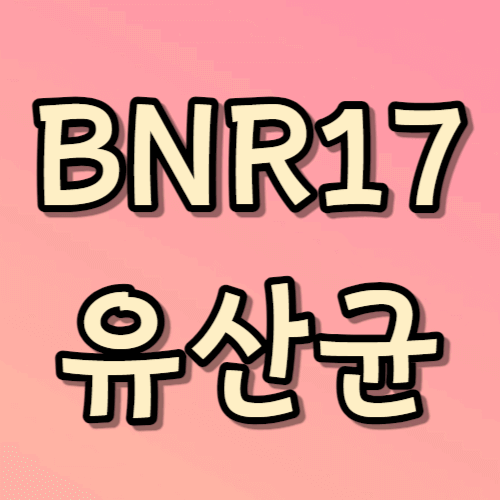 BNR17 유산균