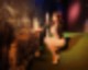 드라마세트장 (호텔델루나)) 전시회 리뷰 논현역 놀이도구) 이색전시회 ♬ 사진찍기전시회 26