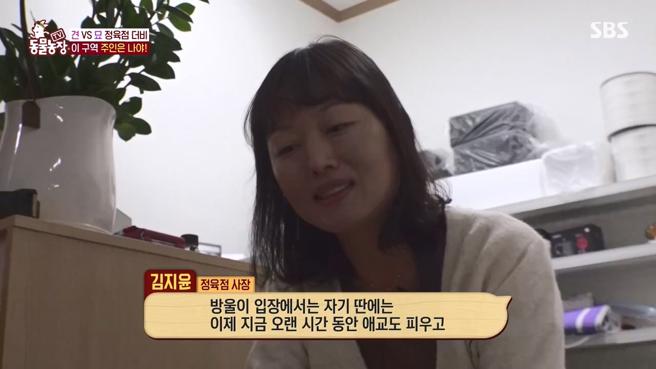 TV 동물농장.E1146.231120p-NEXT.mp4_20231119_175242.669.jpg