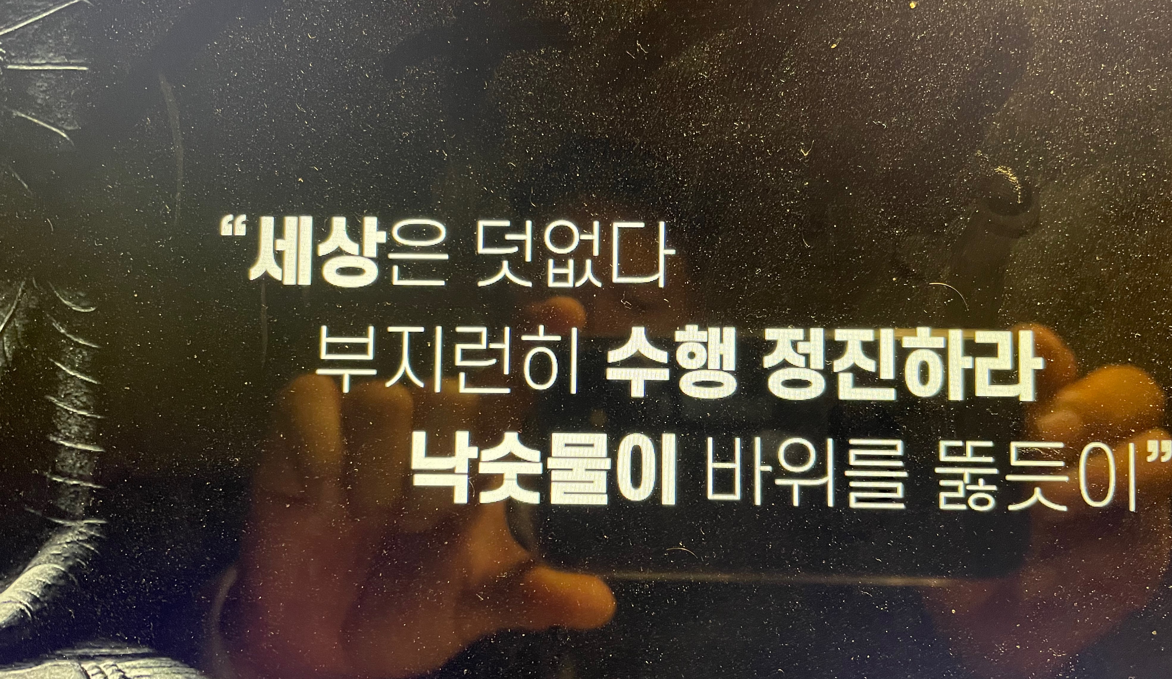  부처님의 80세 임종 직전 말씀