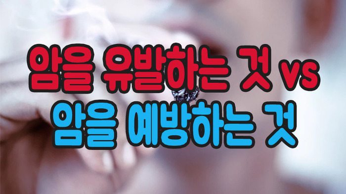  암이 생기는 원인 이유 :: 예방 수칙