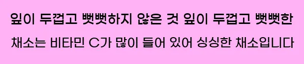  3. 잎이 두껍고 뻣뻣하지 않은 것 잎이 두껍고 뻣뻣한 채소는 비타민 C가 많이 들어 있어 싱싱한 채소입니다.