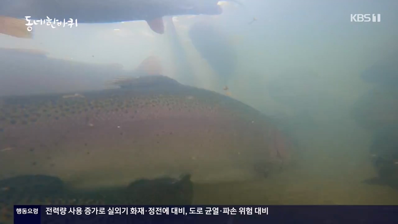 동네 한 바퀴.E234.230806p-NEXT.mp4_20230810_211408.458.jpg