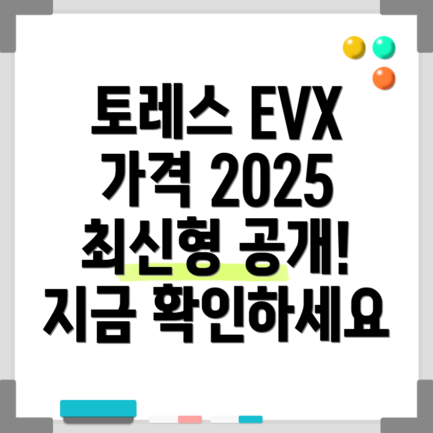 토레스 EVX 가격