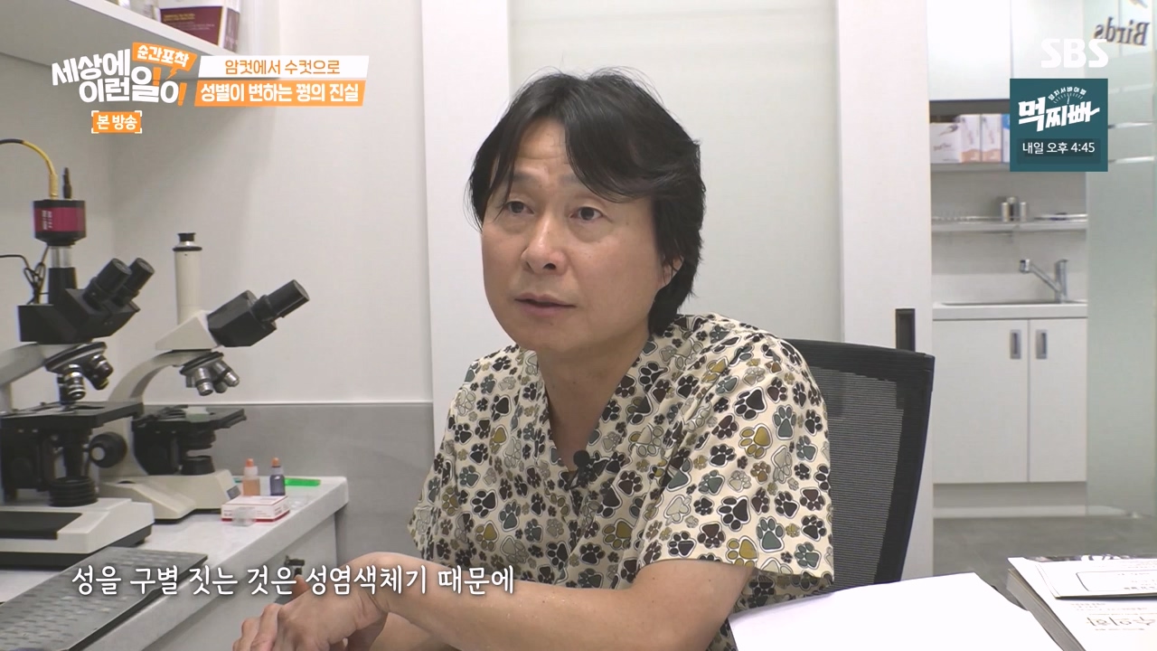 순간포착 세상에 이런일이.E1248.231015p-NEXT.mp4_20231015_164803.575.jpg