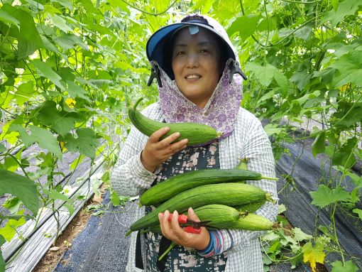 지리산담은농원 이미지