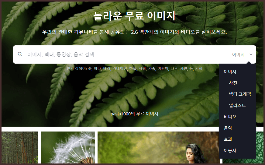 검색창 이용방법