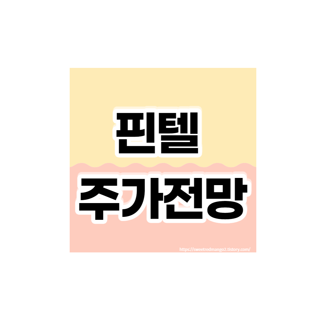  핀텔 주가전망