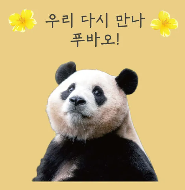 푸바오