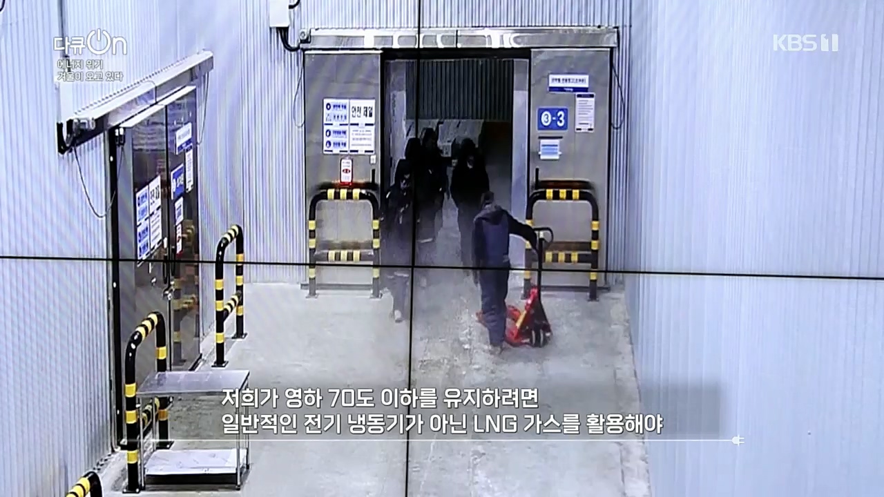 다큐 On.E174.221205p.H264-F1RST.mp4_20221213_200901.415.jpg