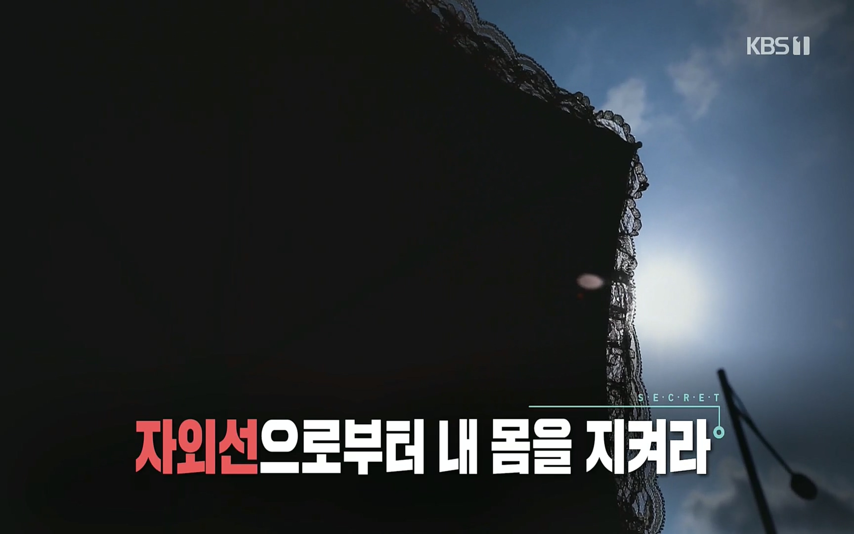 생로병사의 비밀.E824.220629p.H264-F1RST.mp4_20220630_203608.641.jpg