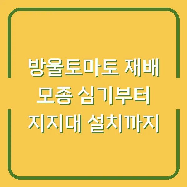 방울토마토 재배 모종 심기부터 지지대 설치까지