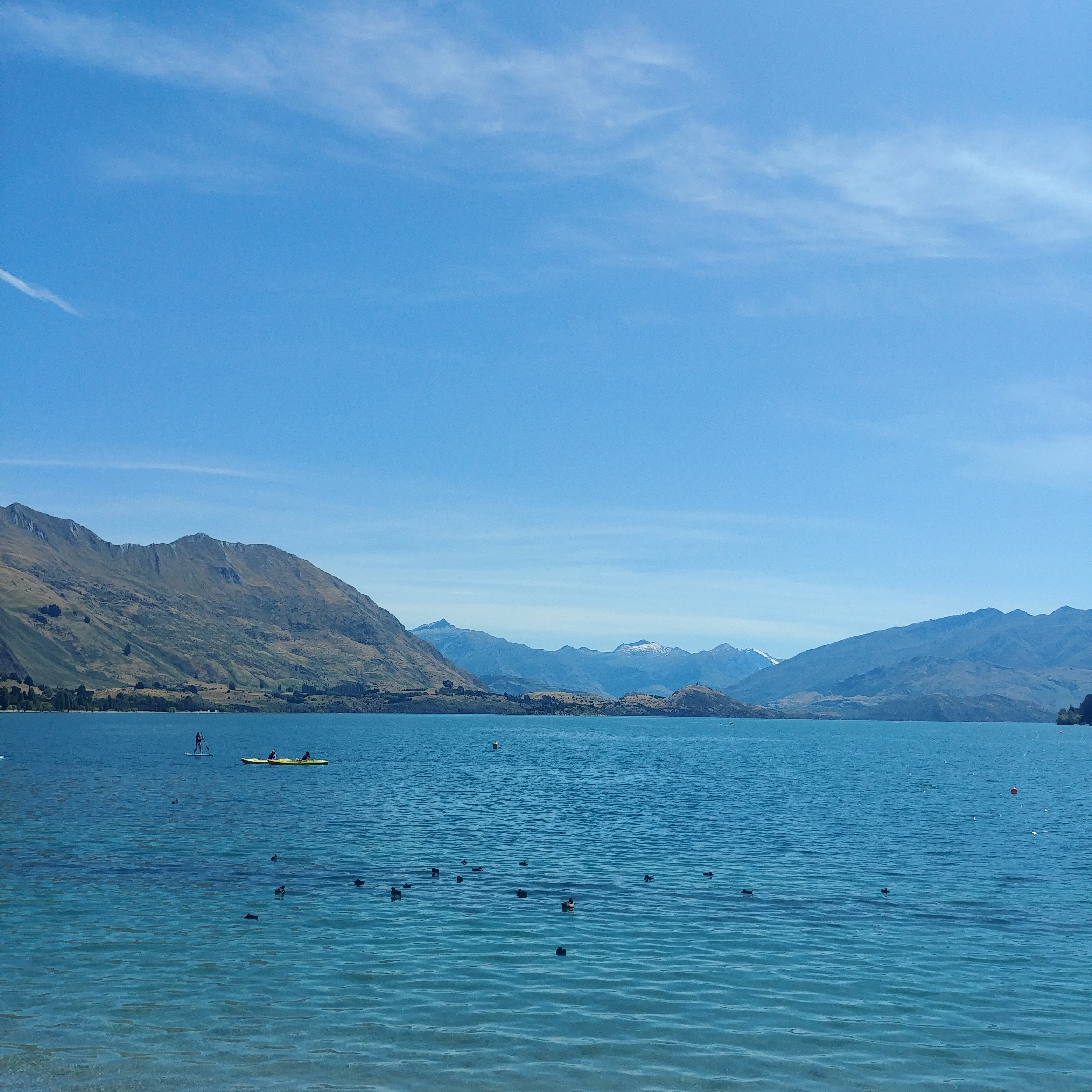 뉴질랜드 와나카 여행 Wanaka Lakefront
