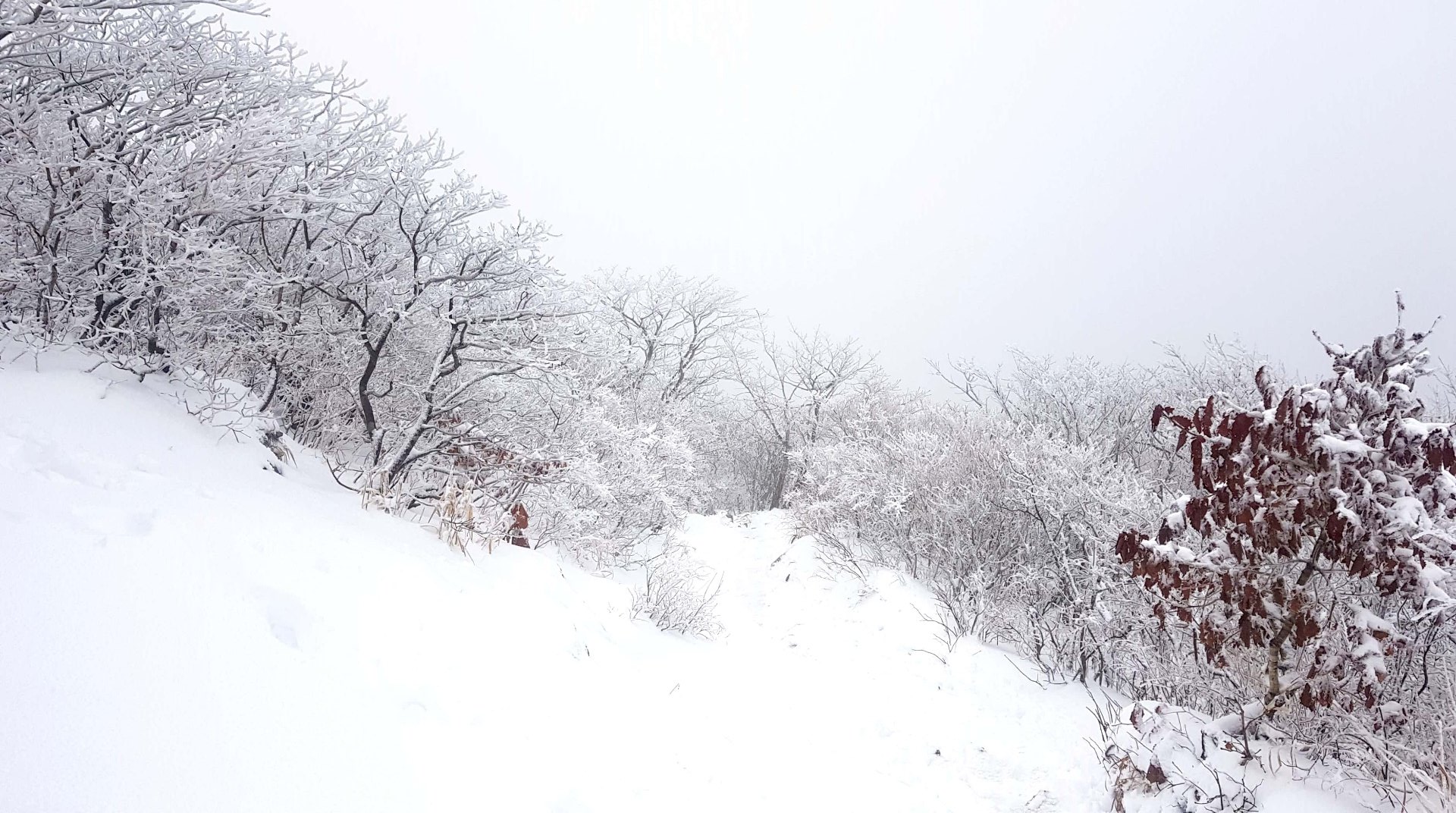 울산 가지산 설경