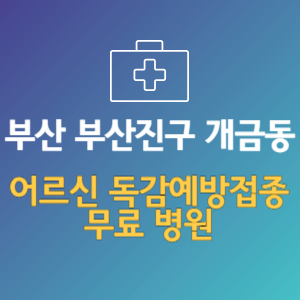 부산 부산진구 개금동 노인 독감예방접종 무료 병원 (인플루엔자 무료 접종 대상 날짜)