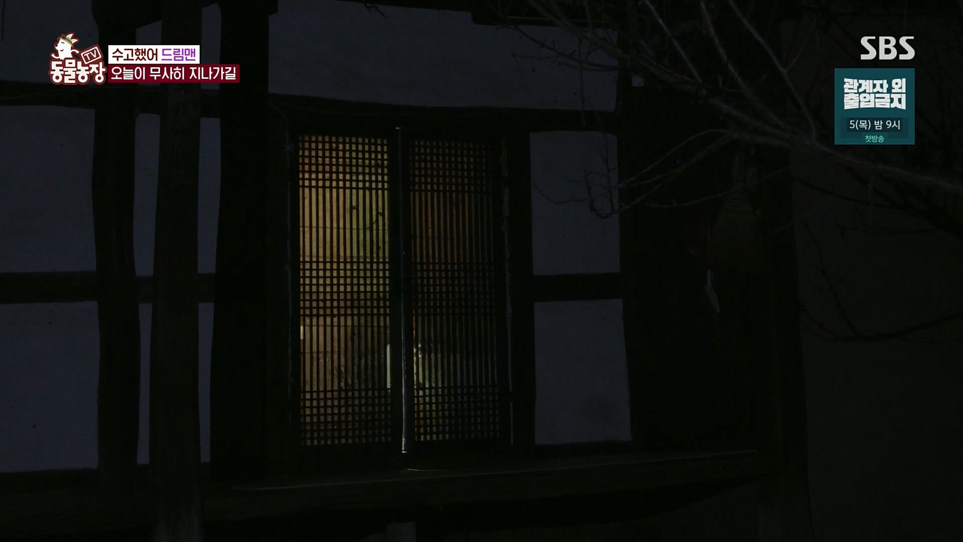 TV 동물농장.E1102.230101p.H264-F1RST.mp4_20230101_182855.150.jpg