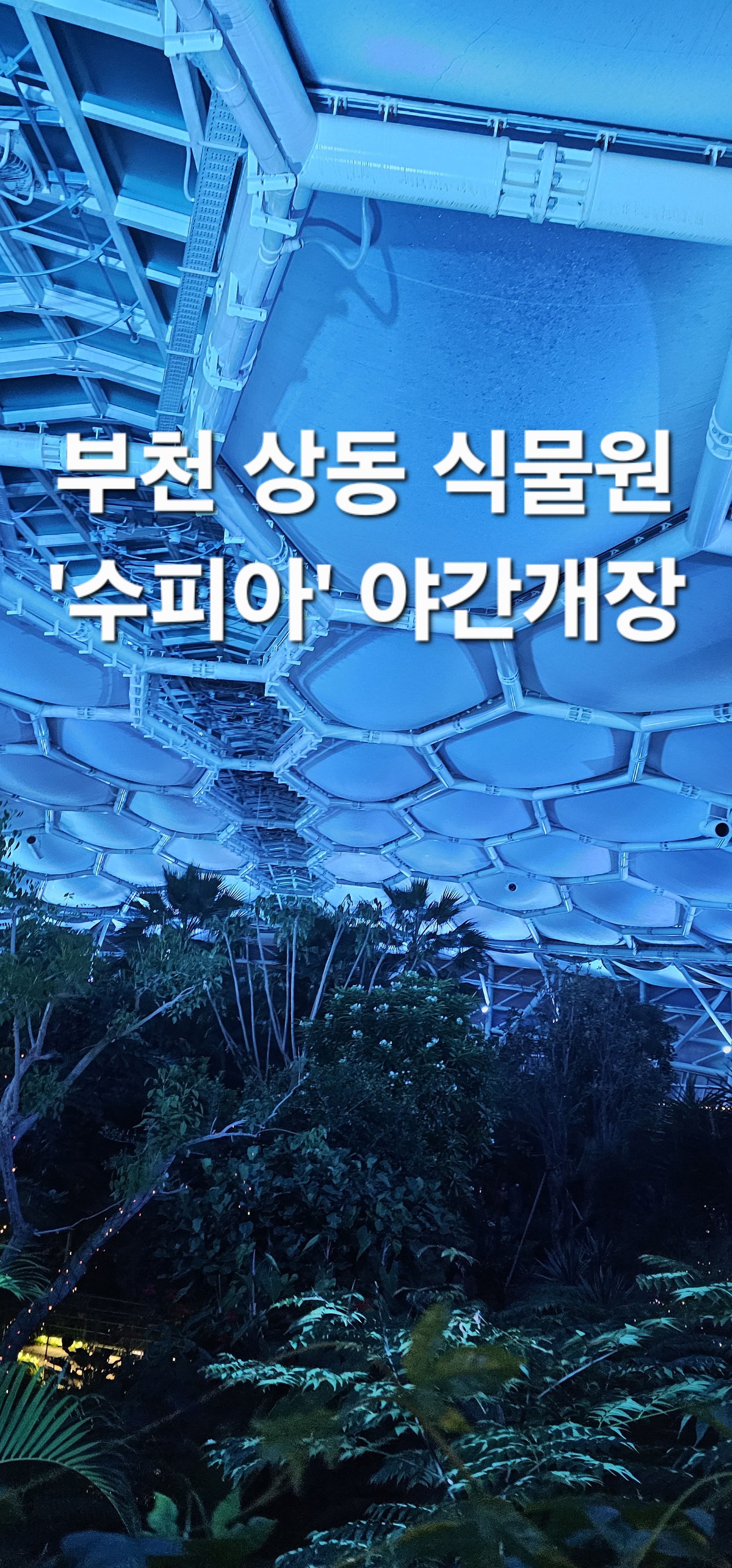 수피아매점 이미지