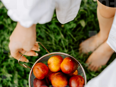 살구 효능 10가지 12