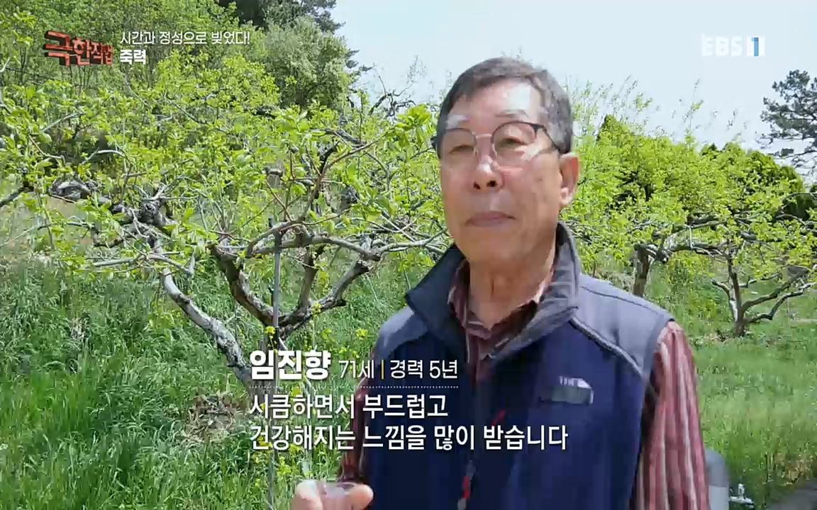 TV - 교육의 중심 EBS시간과 정성으로 빚었다! 유황오리 엿, 죽력, 도라지정과.mp4_20220521_185535.370.jpg