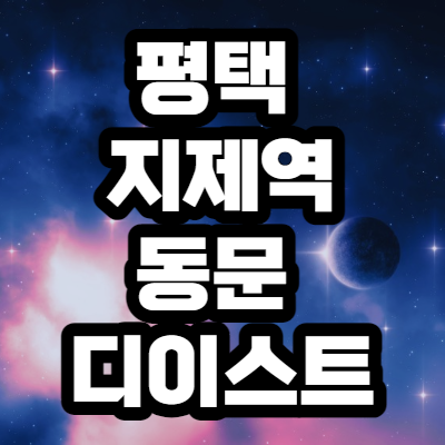  평택 지제역 동문 디이스트
