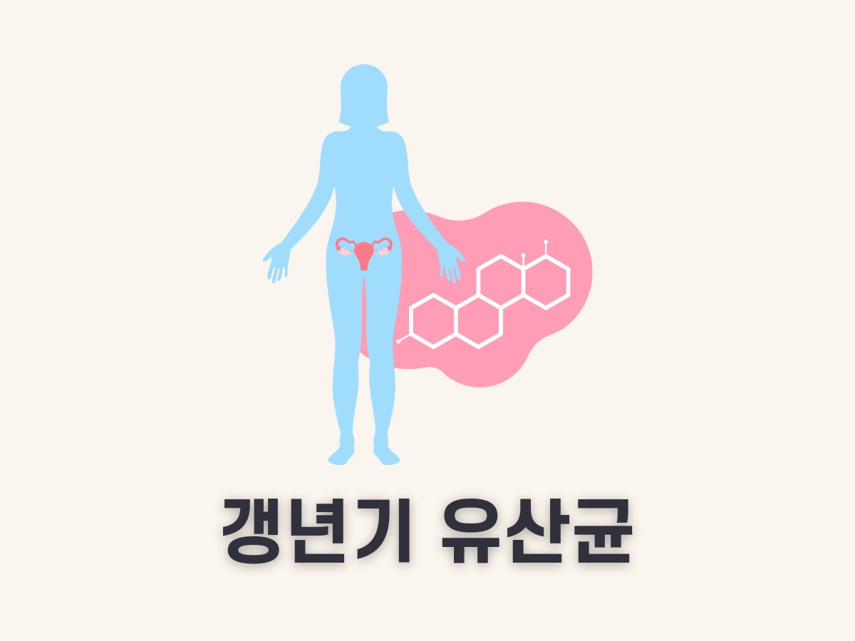 갱년기 유산균