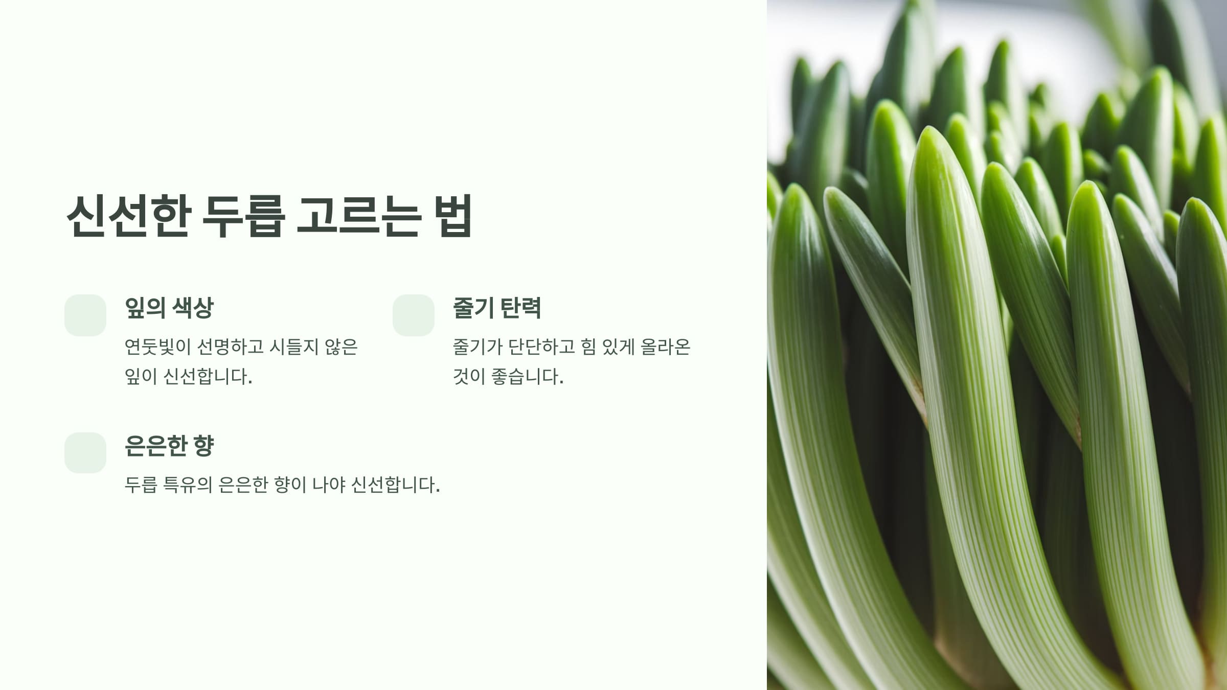 두릅 고르는 법 설명하는 인포그래픽
