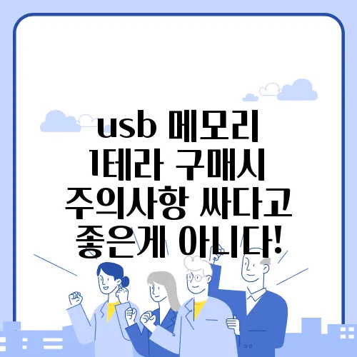 usb 메모리 1테라 구매시 주의사항 싸다고 좋은게 아니다!