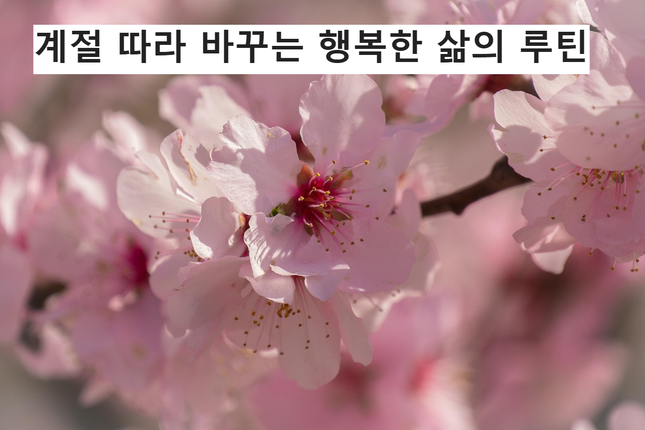 벚꽃