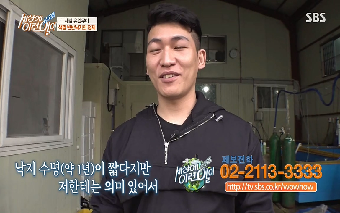 순간포착 세상에 이런일이.E1178.220504p-NEXT.mp4_20220504_173146.345.jpg