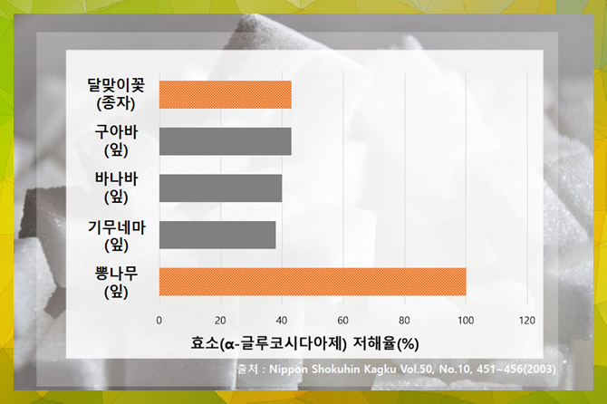 gi지수 GI지수 낮은 음식,