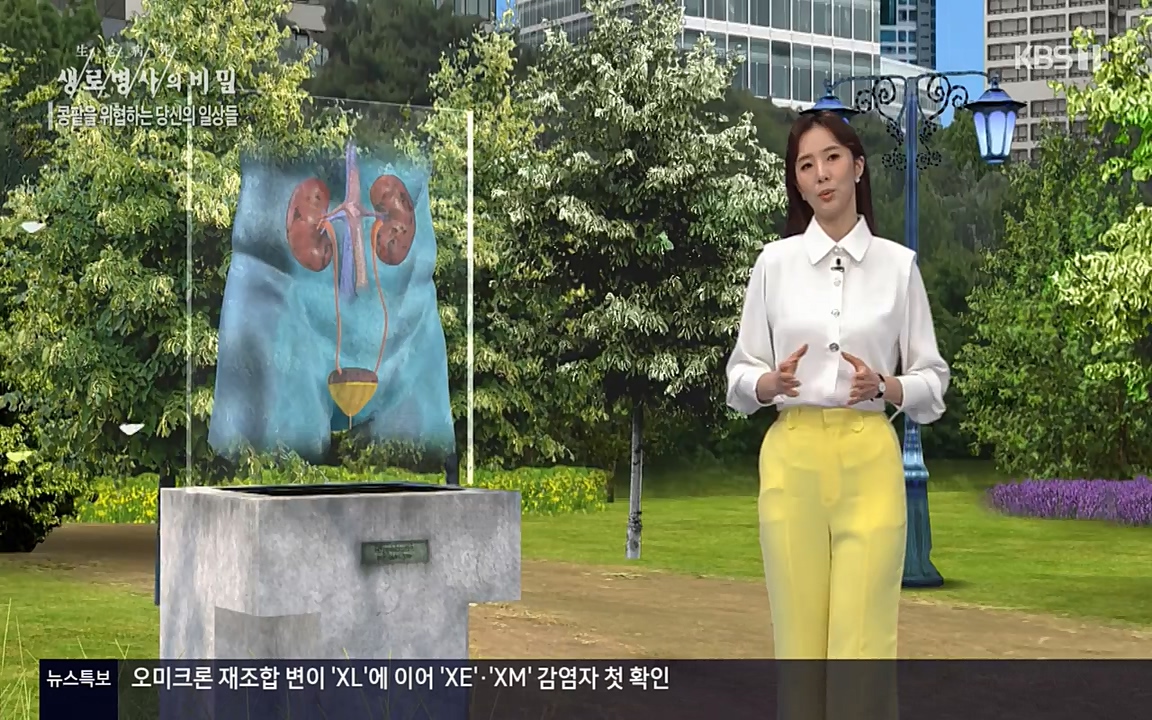 생로병사의 비밀.E819.220421p-NEXT.mp4_20220421_194721.835.jpg