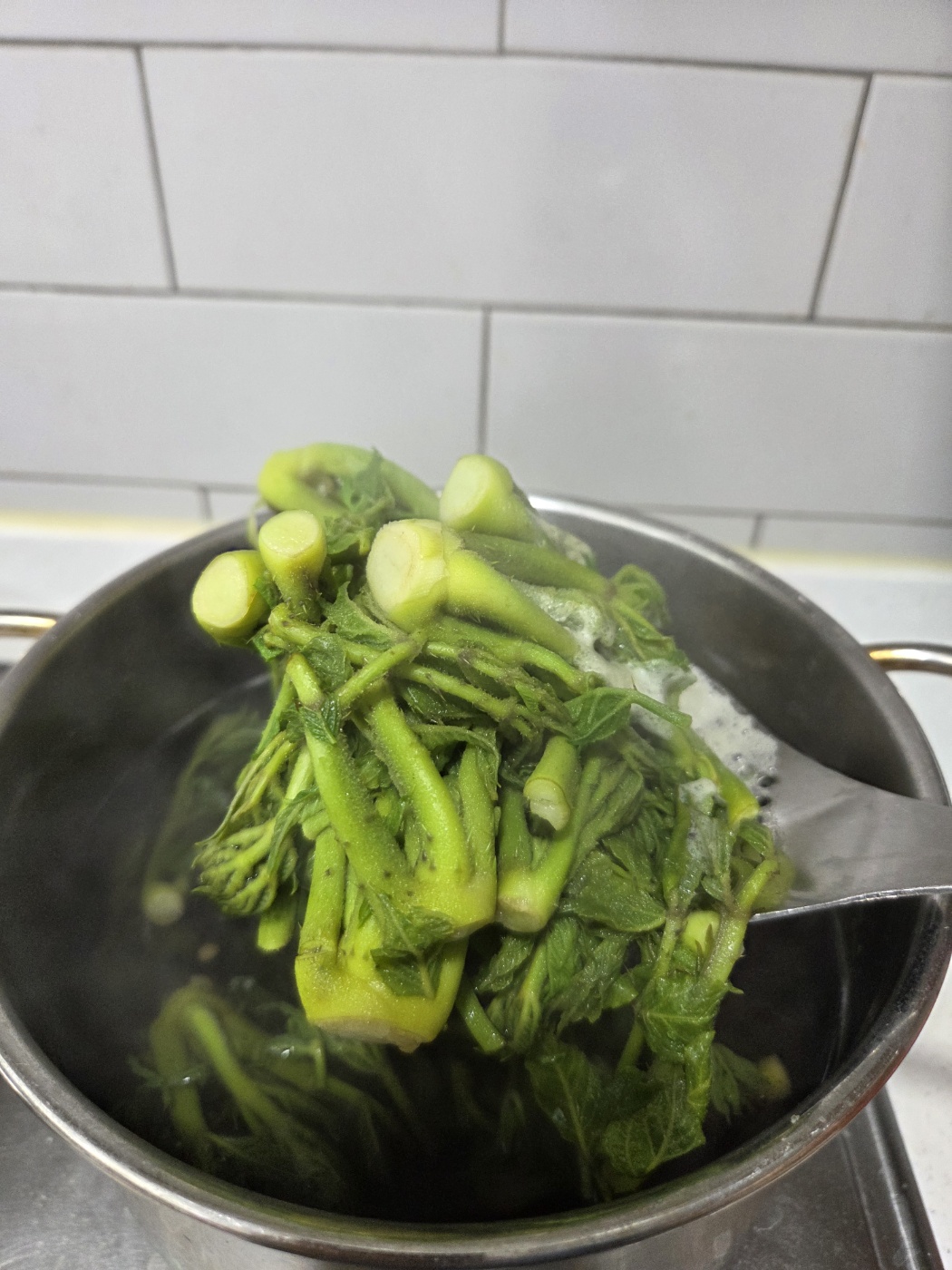 두릅 데치는 간단한 순서