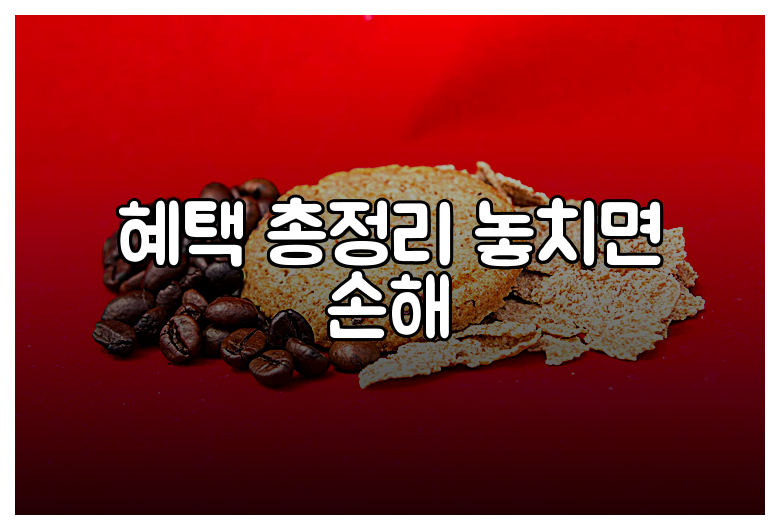 혜택 총정리 놓치면 손해