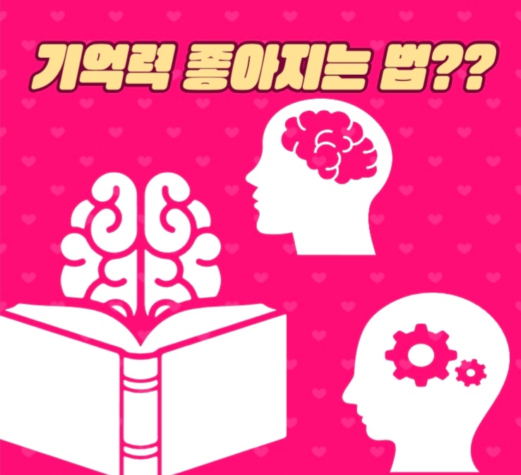  기억력 좋아지는 방법?!feat.슈퍼에이저?