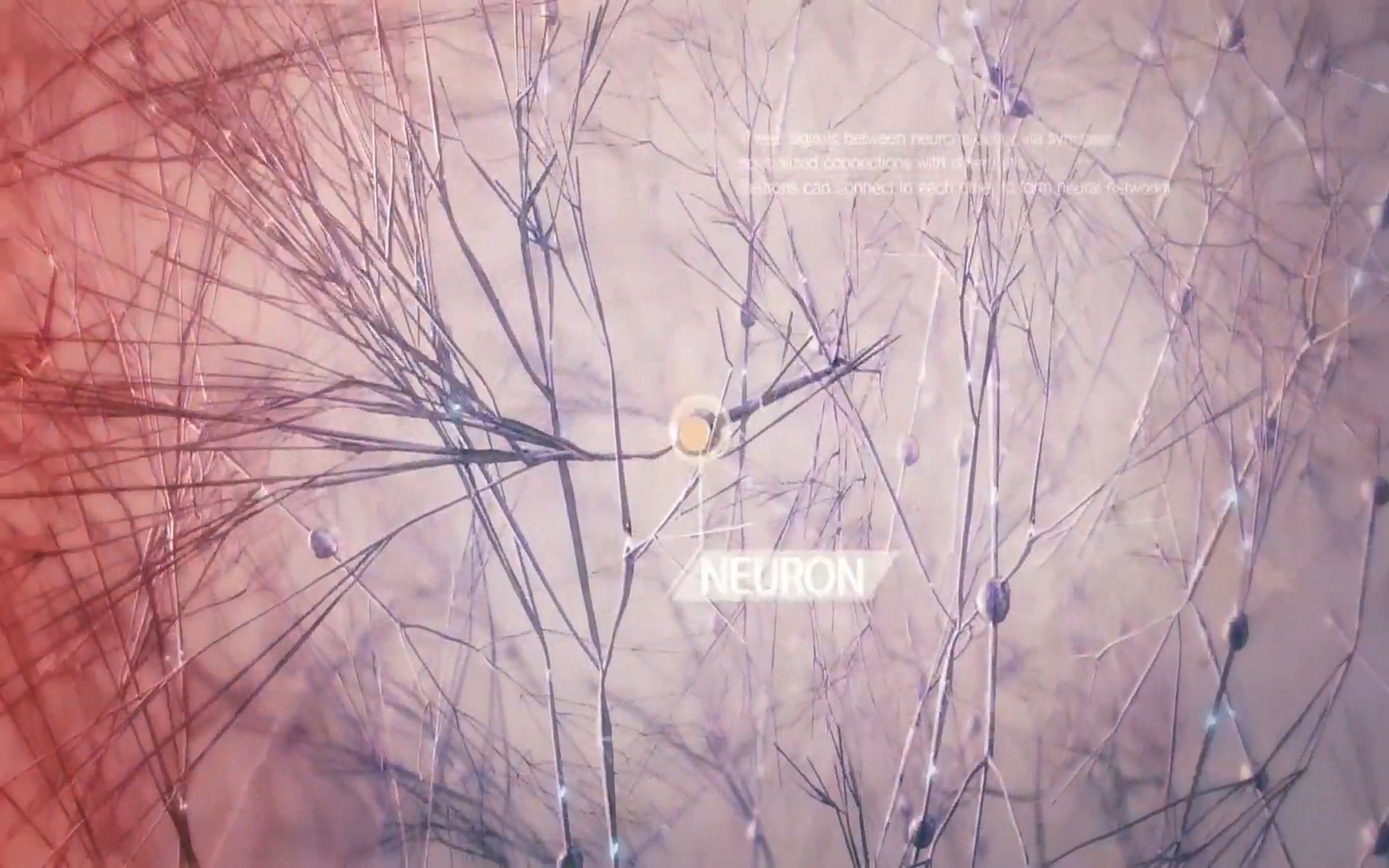 생로병사의 비밀.E816.220413p.H264-F1RST.mp4_20220414_192737.125.jpg