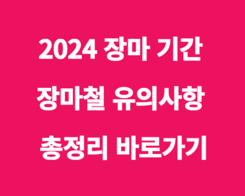 2024년 장마철(붕괴 침수 누전 식중독 곰팡이) 유의사항 총정리