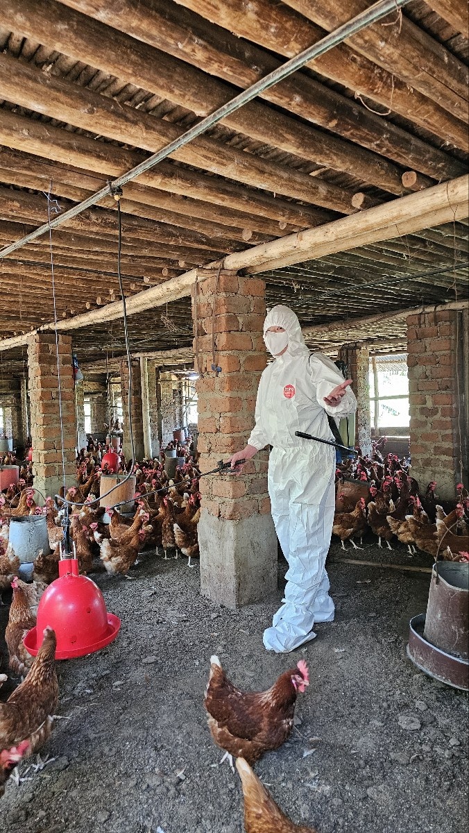축사내 직접 소독하는 황한솔 대표
