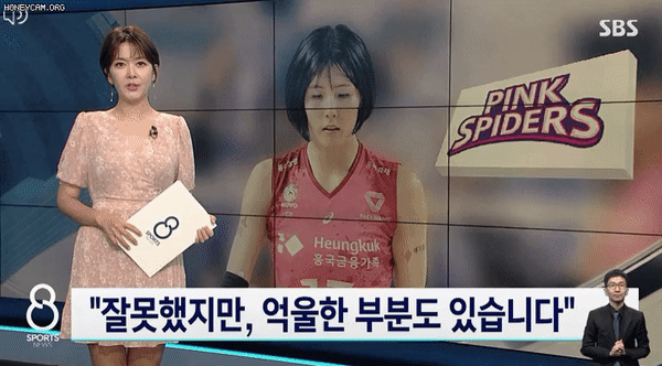  배구선수 이재영, "잘못했지만, 억울한 부분도 있습니다."