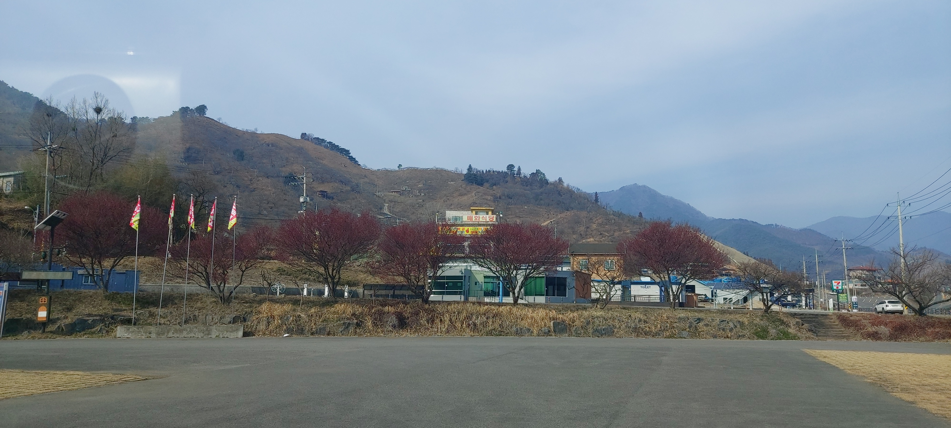 광양 매화마을 둘러보기 1